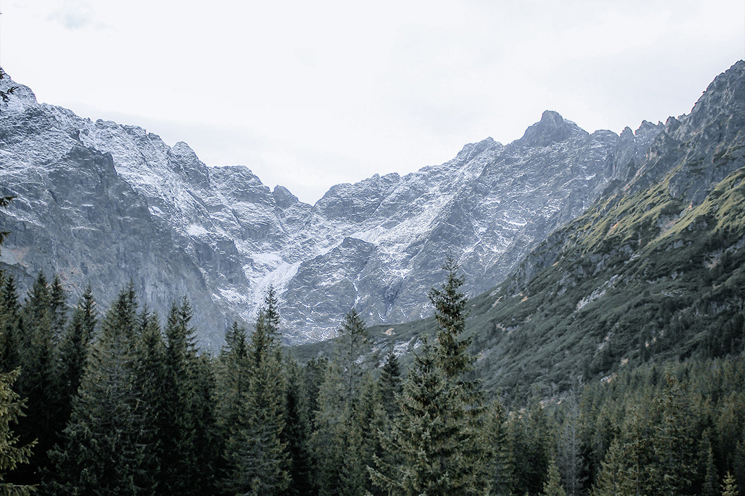 Mountain valley landscape with snow-covered peaks and evergreen forest